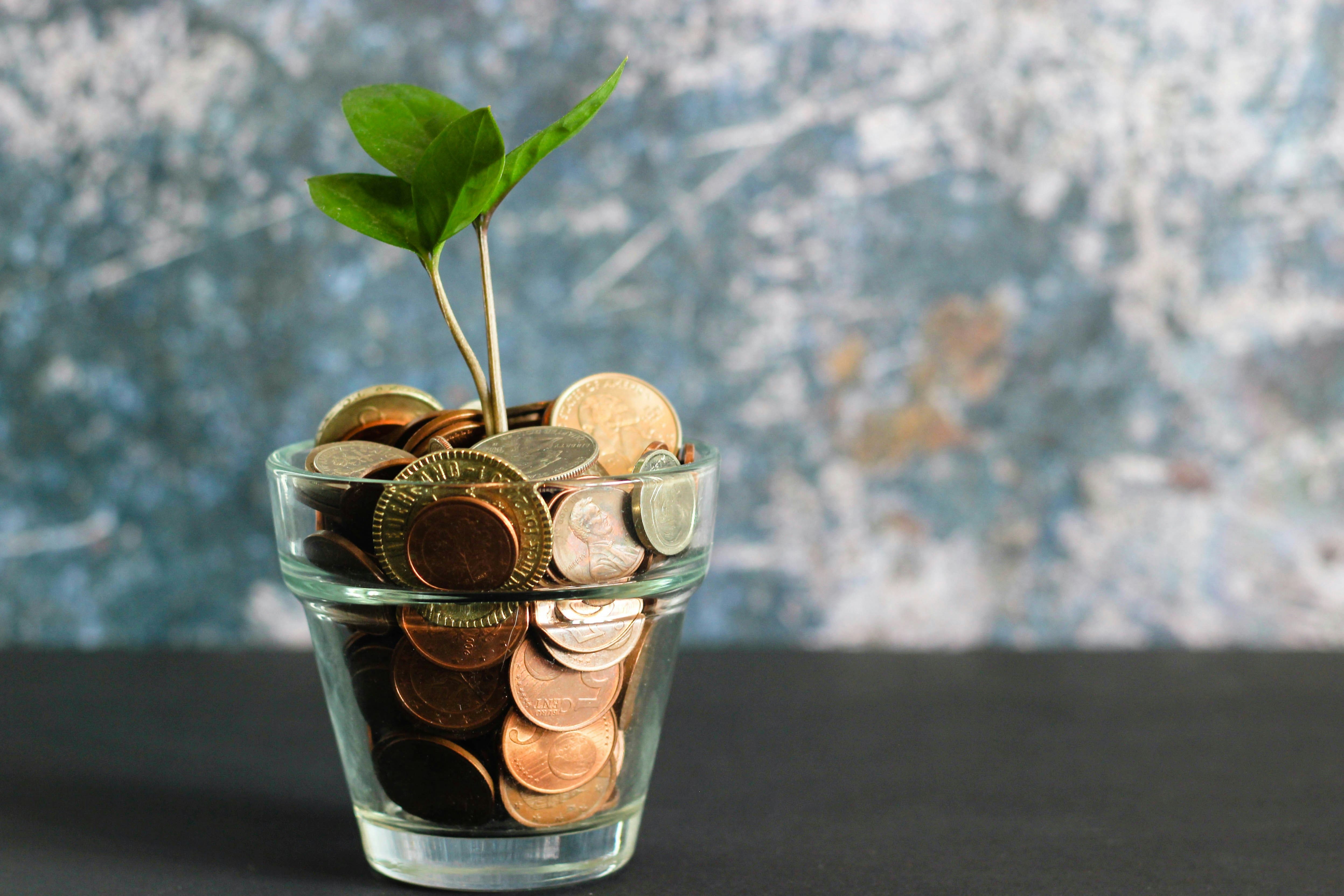 A small green plant growing out of a glass filled with coins